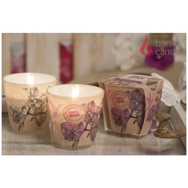 Dišeča svečka BARTEK CANDLES, WHITE ORCHID,115g